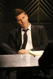 Die Ermittlungen im Mordfall der jungen Pflichtverteidigerin der Staatsanwaltschaft gestalten sich für Booth (David Boreanaz) und seine Kollegen schwierig.
