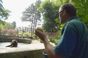 LEOPARD, SEEBÄR & CO., FOLGE 149, Letztes Training mit den Kamtschatkabären vor Uwe Fischers Urlaub.