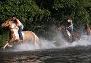 NDR Fernsehen SEENPARADIES MECKLENBURG, "Unter Fischadlern und Wisenten", am Freitag um 11:30 Uhr. Ein Mädchentraum - Ferien auf dem Ponyhof an den Mecklenburger Seen.