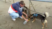 Stephan (39) hat einen neuen Mitbewohner. Mischlingshund Socke bringt frischen Wind ins Leben des Arbeitslosen.
