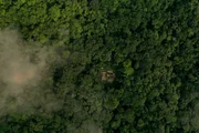Obwohl Bonobos unsere nächsten Verwandten sind, wissen wir wenig über sie. Eine junge Forscherin, Leveda Cheng, will im tiefen Dschungel des Kongos die Gruppendynamik der wild lebenden Tiere enträtseln.