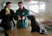 Dr. Susanne Mertens (Elisabeth Lanz) hat eine Mischung aus Senf und Rizinusöl zubereitet und versucht nun mit Connys (Thorsten Wolf) Hilfe, der kranken Seebärin Diana die ungewöhnliche Medizin zu verabreichen, damit sie den Fremdkörper in ihrem Darm auf natürlichem Weg los wird.