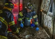 Capt. Vincent Gerrard (Brian Thompson, l.); Henrietta "Hen" Wilson (Aisha Hinds, r.)