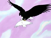 Um zu beweisen, dass er Daunenfeins würdig ist, stürzt sich Martin in den gefährlichen Kampf mit dem Fischadler.