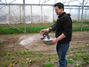 Bauer Hendrick Harwege.