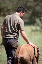 Ivory Wars Program with Laurens De Groot.  Laurens De Groot visit the David Sheldrick Wildlife trust elephant orphan fostering program in Nairobi, Kenya on September 11,2014.