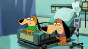 v.li.: Augie Doggie, Doggie Daddy