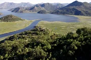 Riesige Wälder, große Moore und ruhige Seen: ein wahres Naturparadies für zahlreiche Tierarten