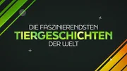 "Die faszinierendsten Tiergeschichten der Welt"-Logo