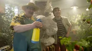Löwenzahn - Kohlendioxid - Ein Gas unter Druck 9;