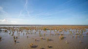 Louis Poirier, alias Julien Gracq, zählt zu den bedeutendsten französischen Schriftstellern des 20. Jahrhunderts. Eine besondere Rolle spielen im Werk des gelernten Geografen die Landschaften seiner Heimatregion Loire.