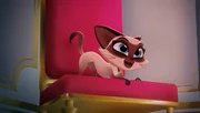 Ariane, die Katze, wetzt sich ihre Krallen an den edlen Polstern des Schlosses.