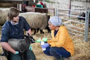Nadiya begleitet in Wales einen vielbeschäftigten Tierarzt während der Lämmersaison.