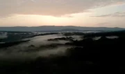 Der Wald ist ein wichtiges Ökosystem für die gesamte Region.