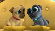 L-R: Rolly und Bingo