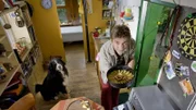 Löwenzahn - Kohlendioxid - Ein Gas unter Druck 5;