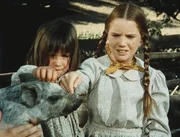 Carrie Ingalls und ihre Schwester Laura bestaunen auf ihrem Ausflug ein Schwein. Carrie Ingalls und ihre Schwester Laura bestaunen auf ihrem Ausflug ein Schwein.
