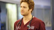 Will Halstead (Nick Gehlfuss)