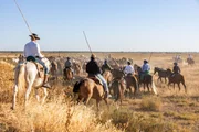 Den allj&auml;hrlichen Auszug der Marisme&ntilde;o-Pferde aus dem Parque Nacional de Do&ntilde;ana begleiten rund 200 M&auml;nner und nur wenige Frauen.