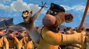 King Julien, Maurice, sowie Ted und Pancho stehen auf der Insel einer lavkasischen Affenmenge gegenüber. Julien versucht sie Affen davon zu überzeugen, ihm bei der Eroberung seines Königreiches zu helfen. Die scheinen von dem Plan aber nicht zu begeistert zu sein.
