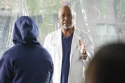 Dr. Richard Webber (James Pickens Jr.)