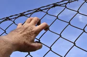 stacheldraht, draht, gericht, sicherheit, gefängnis, hand