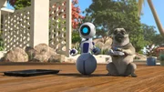 Kann Mike mit dem Roboter umgehen?