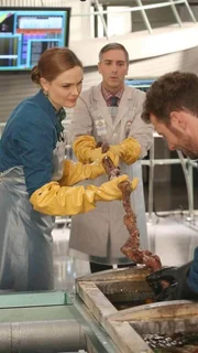In zeitraubender Kleinarbeit versuchen Brennan (Emily Deschanel), Dr. Douglas Filmore (Scott Lowell, M.) und Hodgins (TJ Thyne) herauszufinden, wessen &Uuml;berreste in den Fresstr&ouml;gen der Schweinefarm gelandet sind.  Die Verwendung des sendungsbezogenen Materials ist nur mit dem Hinweis und Verlinkung auf TVNOW gestattet.