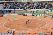 Im Senegal ist Wrestling eine nationale Leidenschaft.