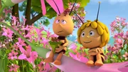 Dieser Pollen liegt Willi schwer im Magen.