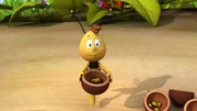 Willi sucht den falschen Pollen für die Königin aus.