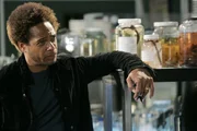 Warrick (Gary Dourdan) betrachtet interessiert das Modell, das Grissom per Kurier zugestellt wurde. Handelt es sich dabei um die plastische Ansicht eines Mordes?