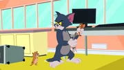Als die Wirkung nachlässt, kann Tom es doch noch mit Jerry und der Ratte aufnehmen.