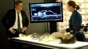 Booth und Brennan untersuchen den Mord an einer Frau, deren Leiche vor dem Fund präpariert worden ist.