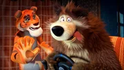 Der Bär ist spielsüchtig geworden.
