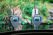 Dirk Steffens und Sonja Zietlow