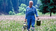 Peter (Peter Lustig) entdeckt eine geheimnisvolle Botschaft in einer Salzpackung - und begibt sich auf der Suche nach dem weißen Gold.