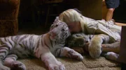 Joe Exotic with tiger cubs.