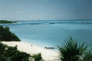Weisser Sand, tuerkisblaues Meer und immergruene Vegetation praegen das Bild der Bahamas. Weisser Sand, tuerkisblaues Meer und immergruene Vegetation praegen das Bild der Bahamas.