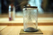 The Relics of Joan of Arc