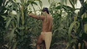 Die Maya können dank cleverem Wassermanagement Maisfelder im Dschungel anlegen.
