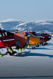 Jim Tweto's 180 lined up with other aircraft on tarmac.