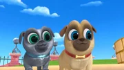 L-R: Bingo (voiced by Issac Ryan Brown), Rolly (voiced by Sam Lavagnino)