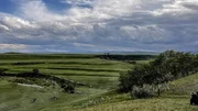 Die Landschaft