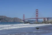 der Hund an der Küste, USA