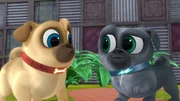 L-R: Rolly (voiced by Sam Lavagnino), Bingo (voiced by Issac Ryan Brown)