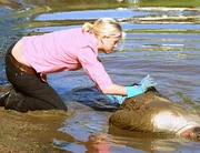 Ist Brians (John Sheerin) Tod ein Unfall, oder hat Becky (Jessica Napier) nachgeholfen?