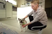 Tanja Kühnl steht vor einer schweren Entscheidung. Muss sie ihre leidende Bulldogge einschläfern lassen?