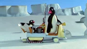Guetnachtgschichtli  Pingu  Staffel 5  Folge 13  Pingu – Vater und Sohn  Pingu und sein Vater auf dem Weg zum Angeln.