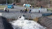 Aus dem einstigen Braunkohletagebau Cottbus-Nord entsteht Brandenburgs größter See. Die Flutung mit Spreewasser ist ein Landschaftswandel der Superlative. In diesem Jahr zeigt sich der Cottbuser Ostsee erstmals mit einer geschlossenen Wasserfläche. Nun beginnt das Ringen um die Nutzung des künftigen Naherholungsgebiets. - Flutung am Cottbuser Ostsee.